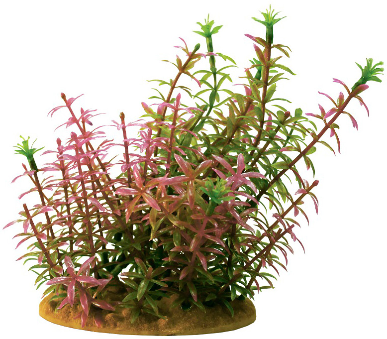 Искусственное растение для аквариума Prime Альтернатера 15 см, пластик