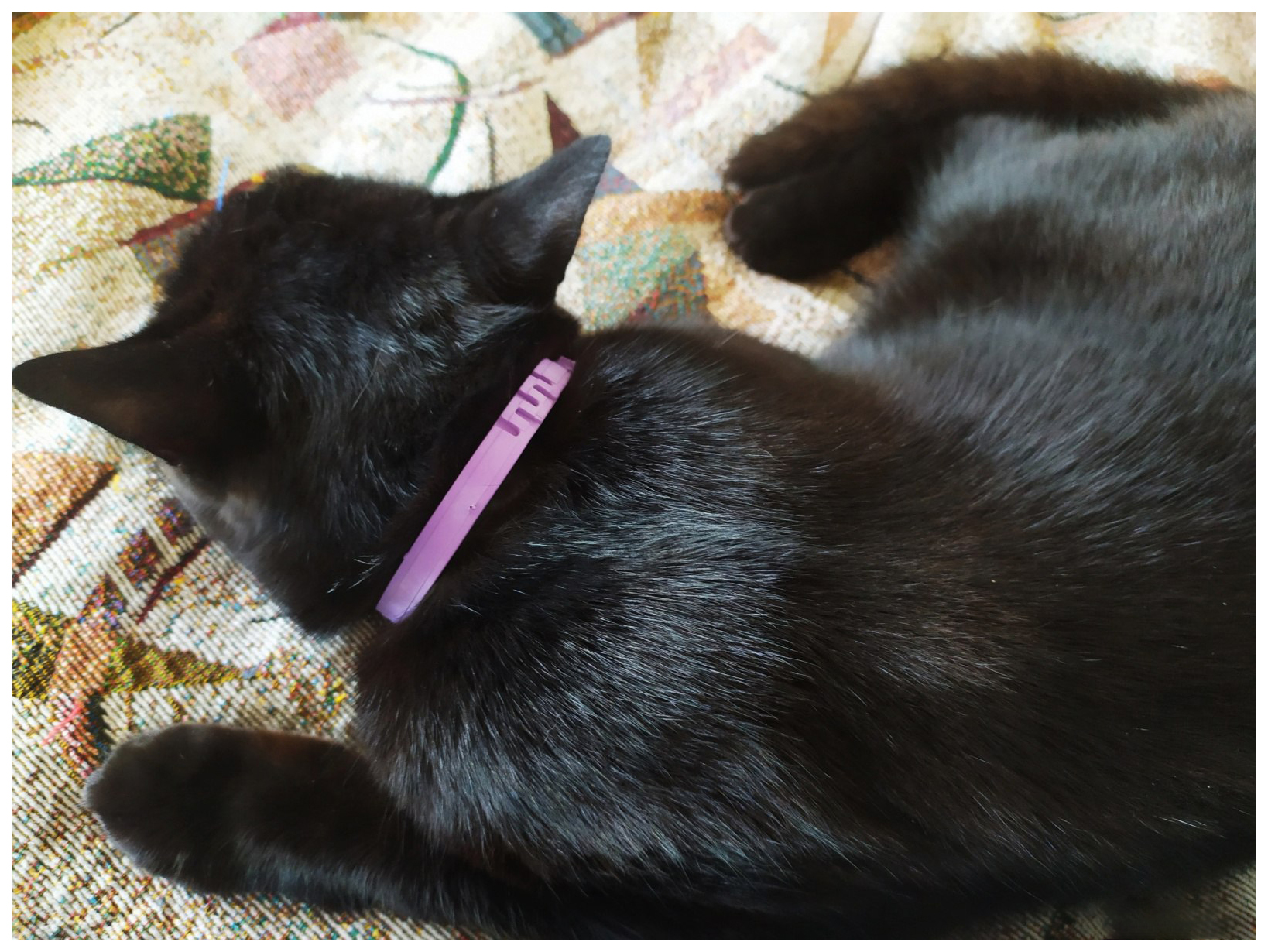 Ошейник для кошек против блох и клещей Чистотел Максимум фиолетовый, 40 см