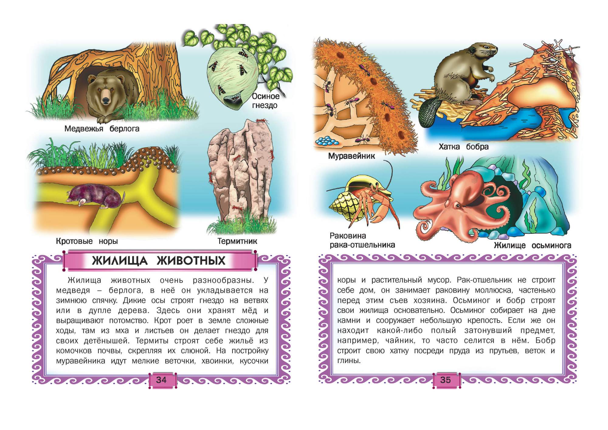 Книга Знаний От Мевланы Купить