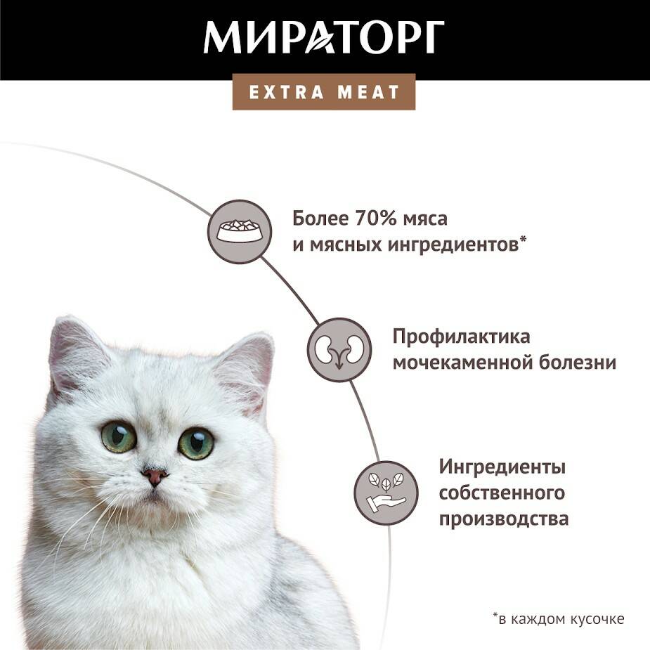 Влажный корм для кошек Winner Extra meat, говядина, 80г - отзывы  покупателей на маркетплейсе Мегамаркет | Артикул товара:100030320151