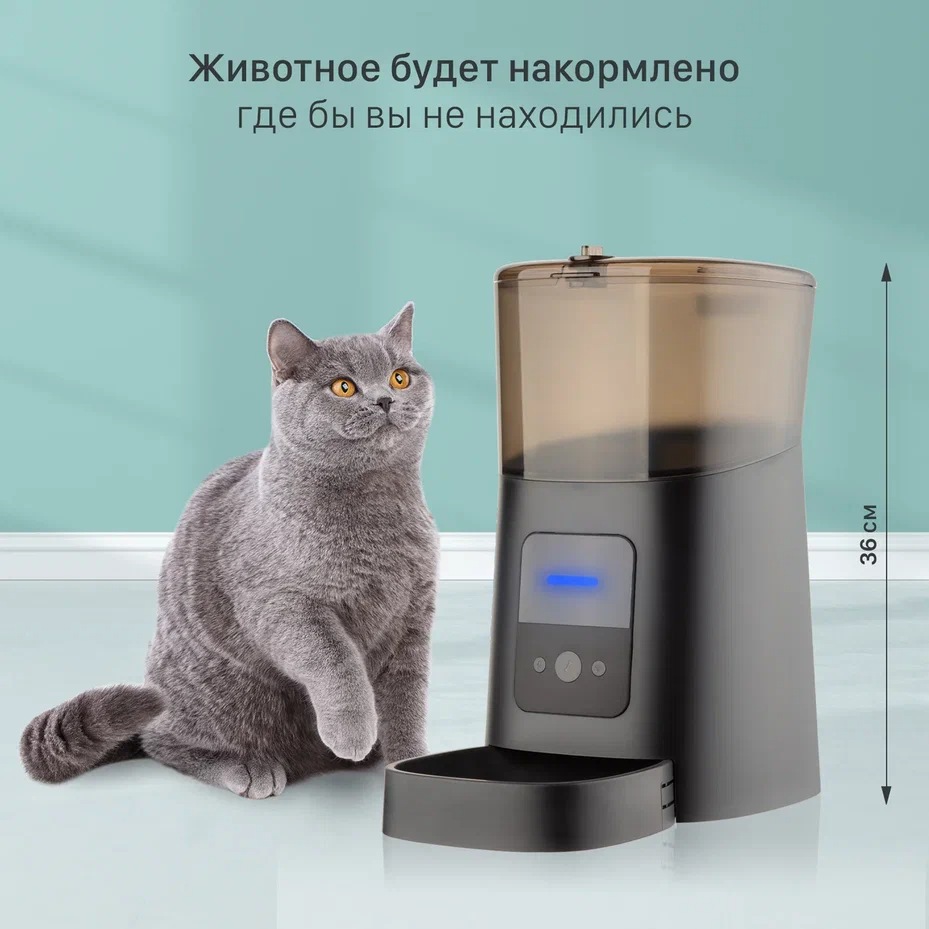 Купить автокормушка для кошек Furr Friends, черный, 6 л, цены на Мегамаркет  | Артикул: 600004610215