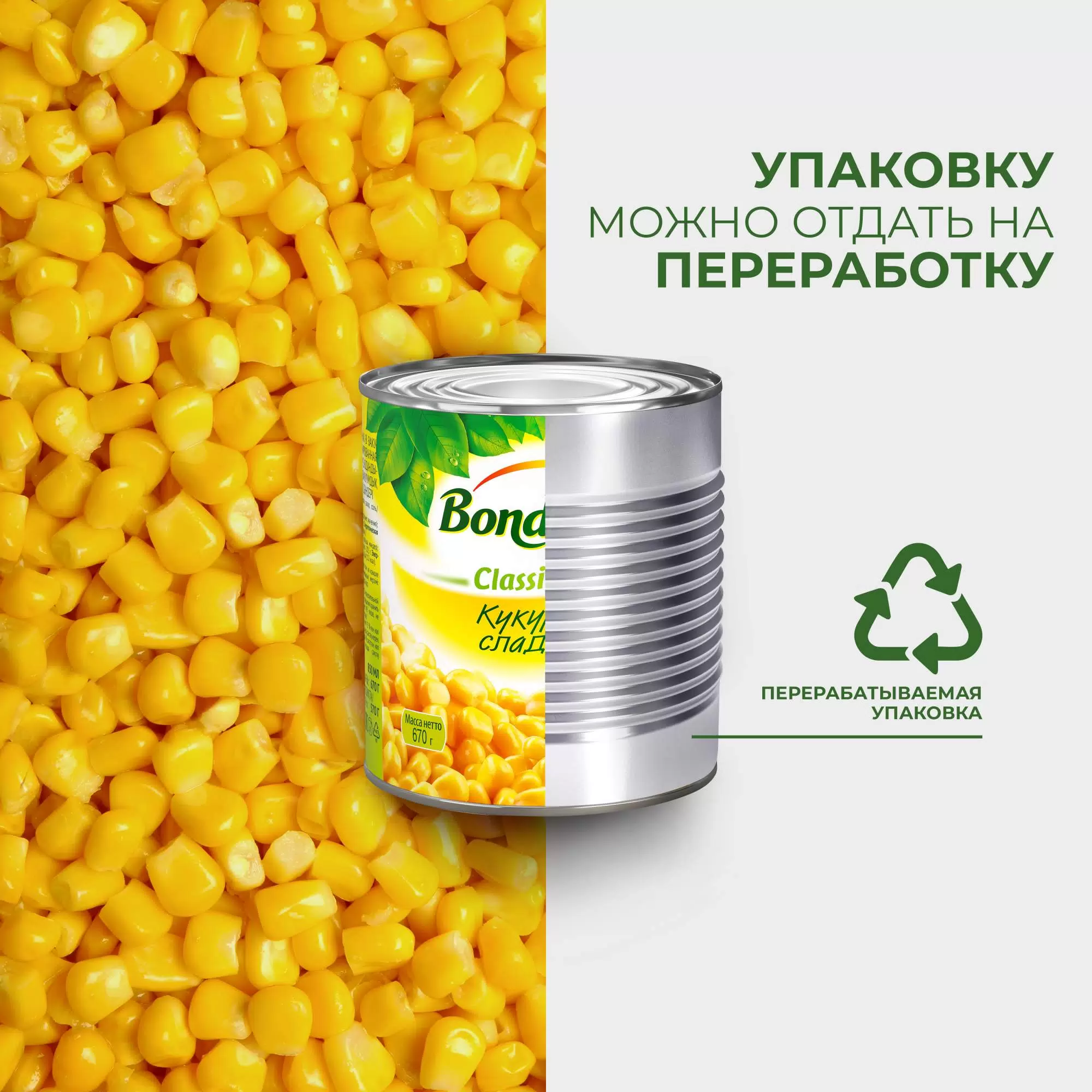 Кукуруза Бондюэль Купить Семена Для Посадки