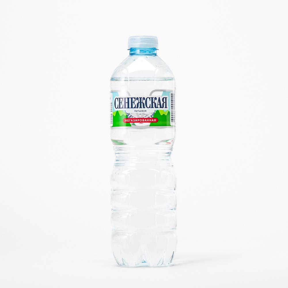 Купить вода минеральная Сенежская негазированная пластик 0.5 л, цены на Мегамаркет | Артикул: 100023379413
