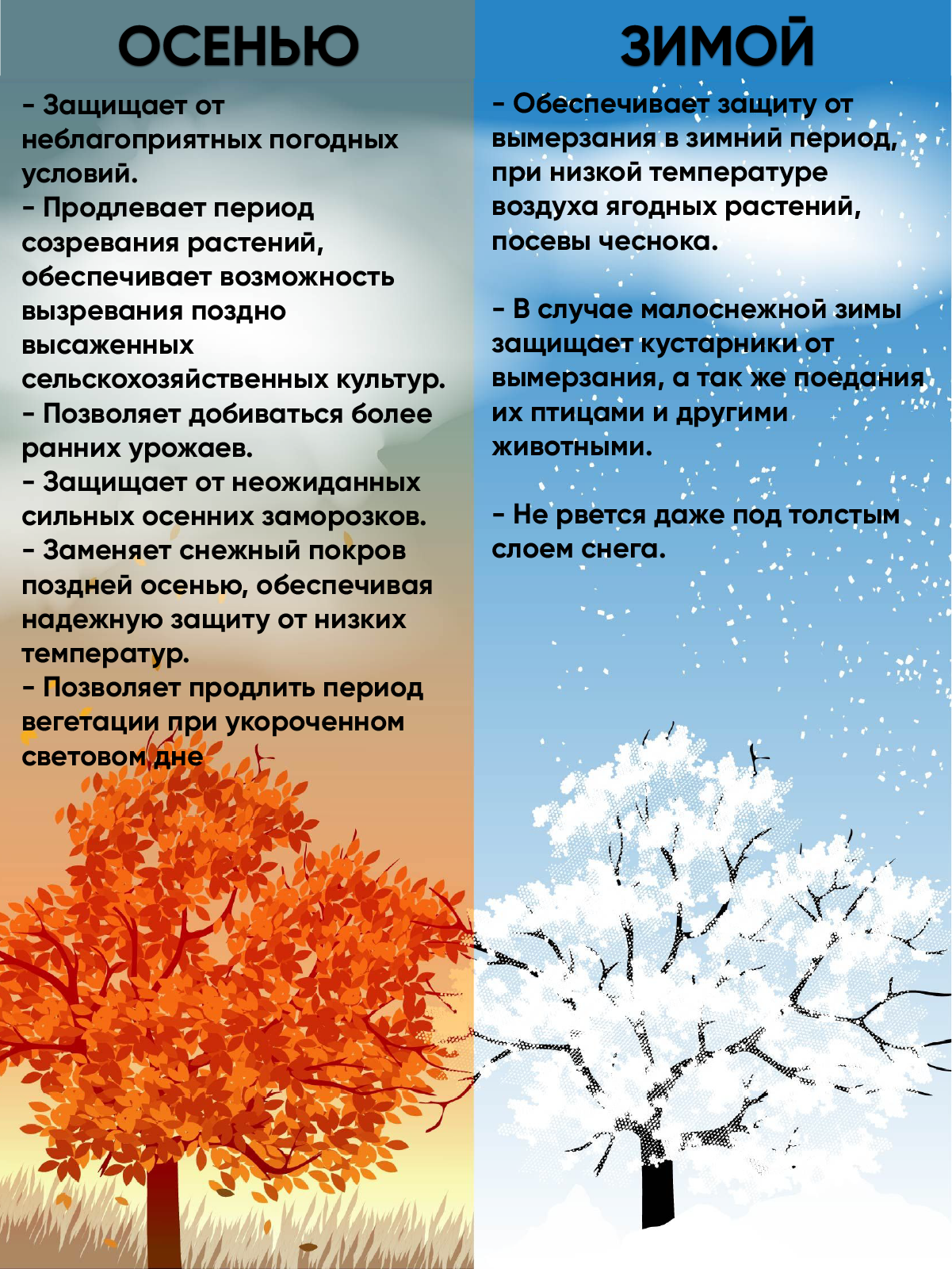 Укрывной материал Спанбонд 30 г/кв.м, 3,2м x 10м — купить в Южно-Сахалинске за руб.