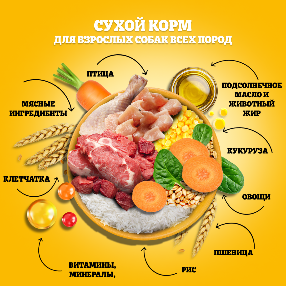 Сухой корм для собак Pedigree все породы, говядина, 2,2кг - отзывы  покупателей на маркетплейсе Мегамаркет | Артикул товара:100013200771