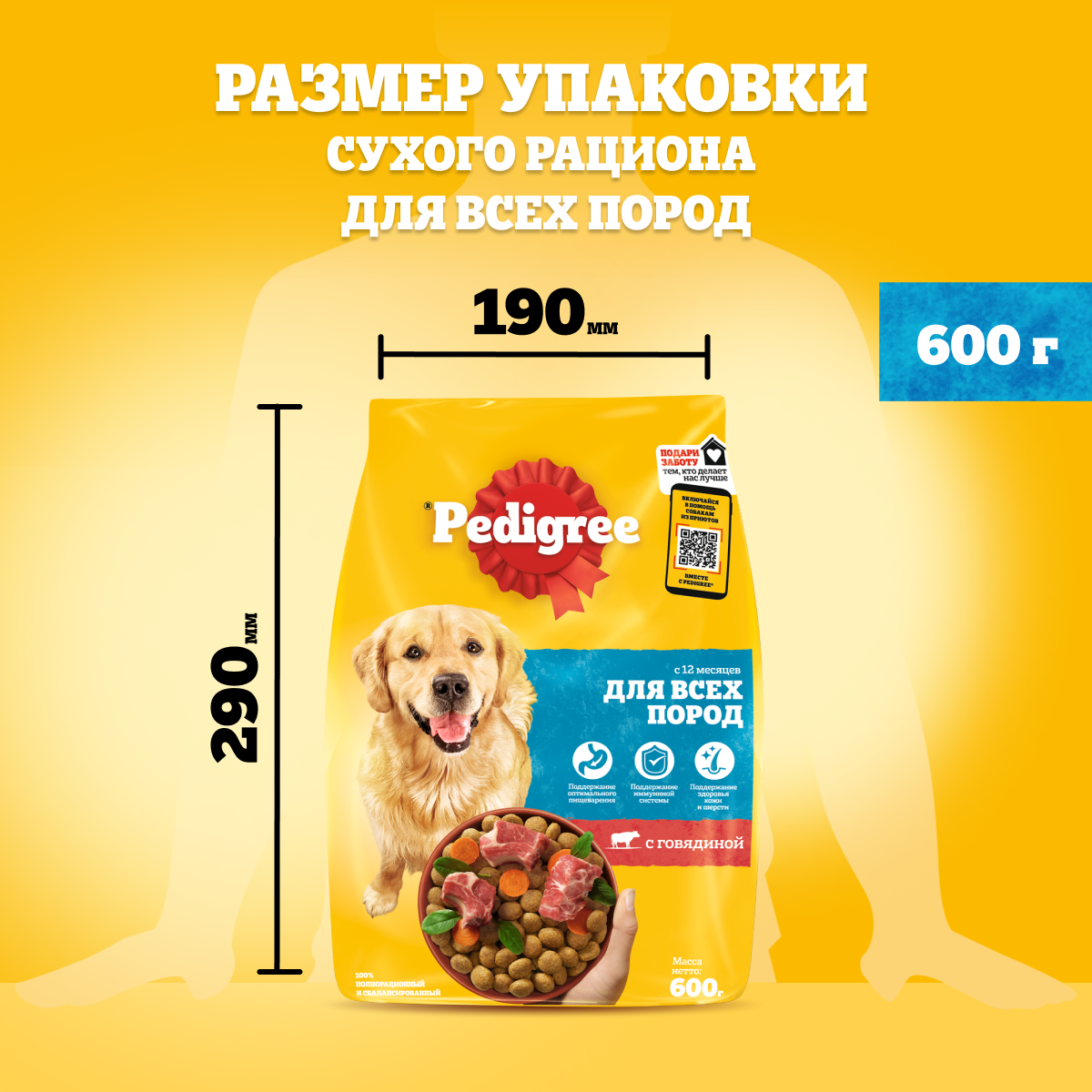 Сухой корм для собак Pedigree все породы, говядина, 0.6кг - отзывы  покупателей на маркетплейсе Мегамаркет | Артикул товара:100013200839