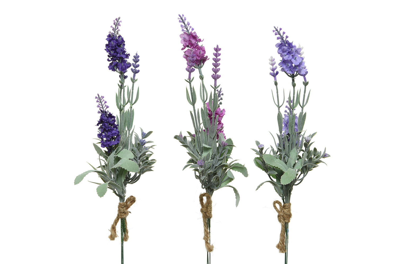 Лаванда Цветы Купить В Спб