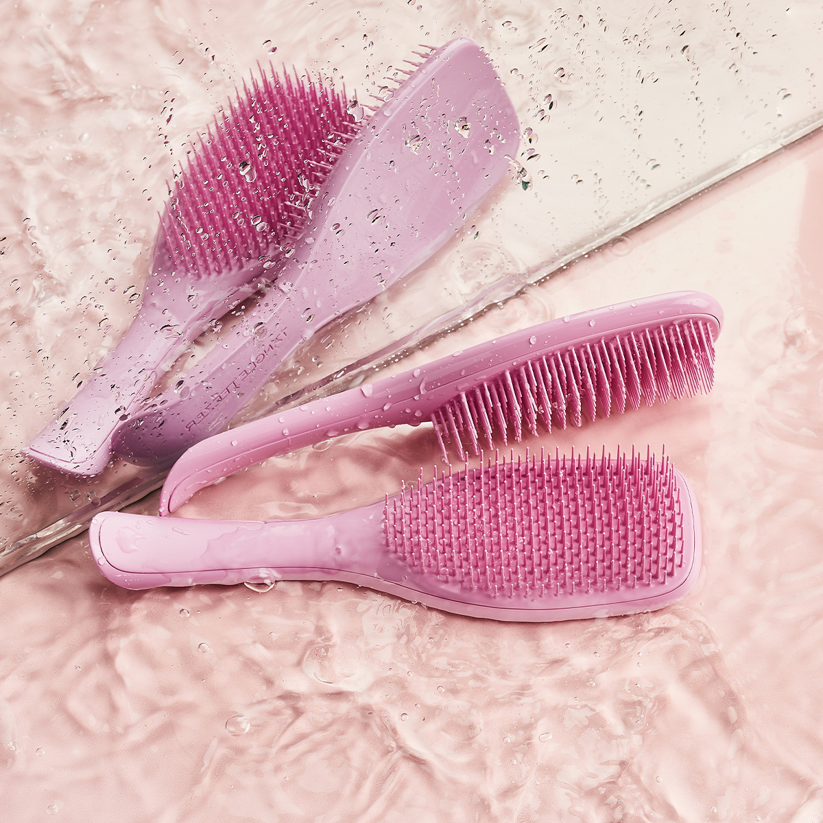 Frisson Frais kaufen – Moschusrose – AGEL ROSEN