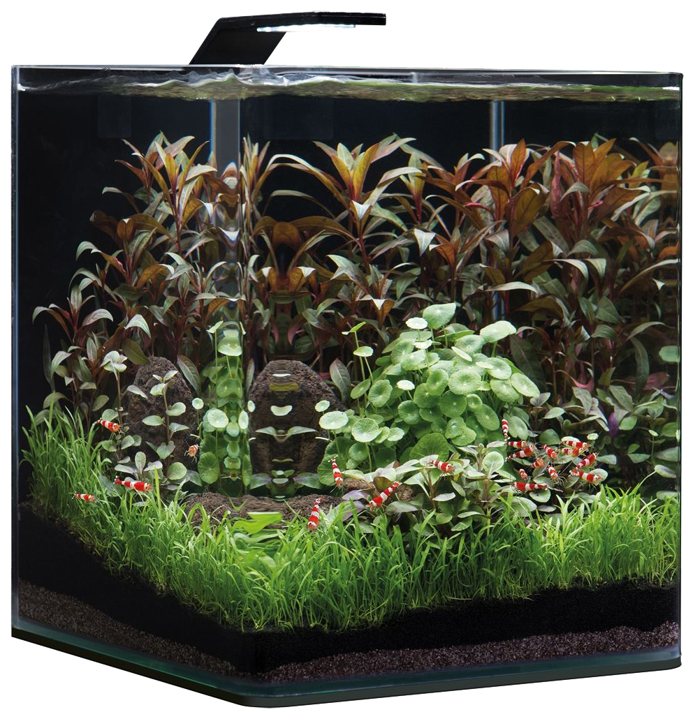 Аквариумный комплекс для рыб, креветок, растений Dennerle Nano Cube Basic Style LED M, 30л