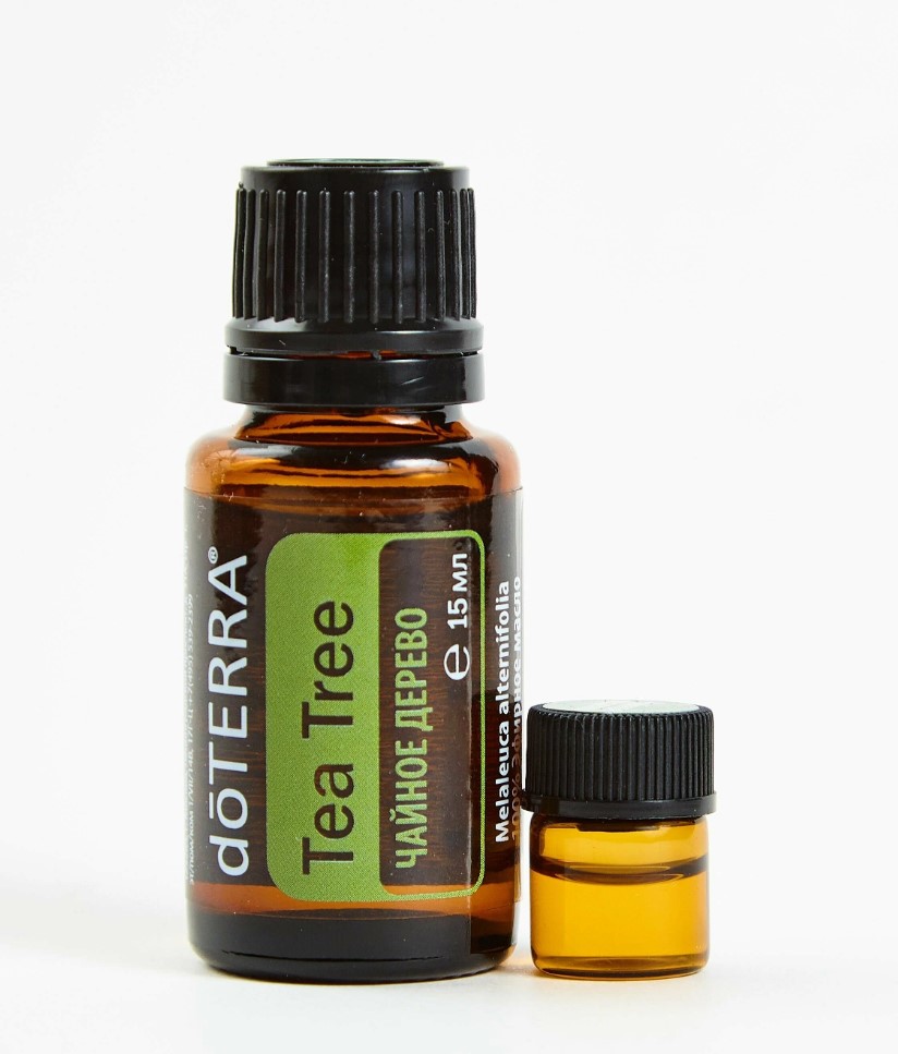 Смесь эфирных масел doTERRA Чайное дерево Tea Tree, 15 мл купить в  интернет-магазине, цены на Мегамаркет