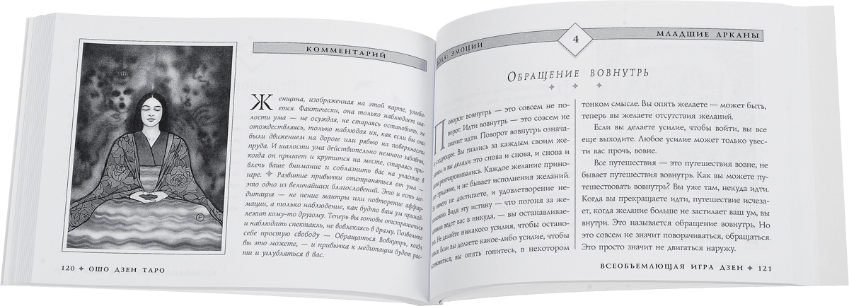 Тайные знания таро дзен
