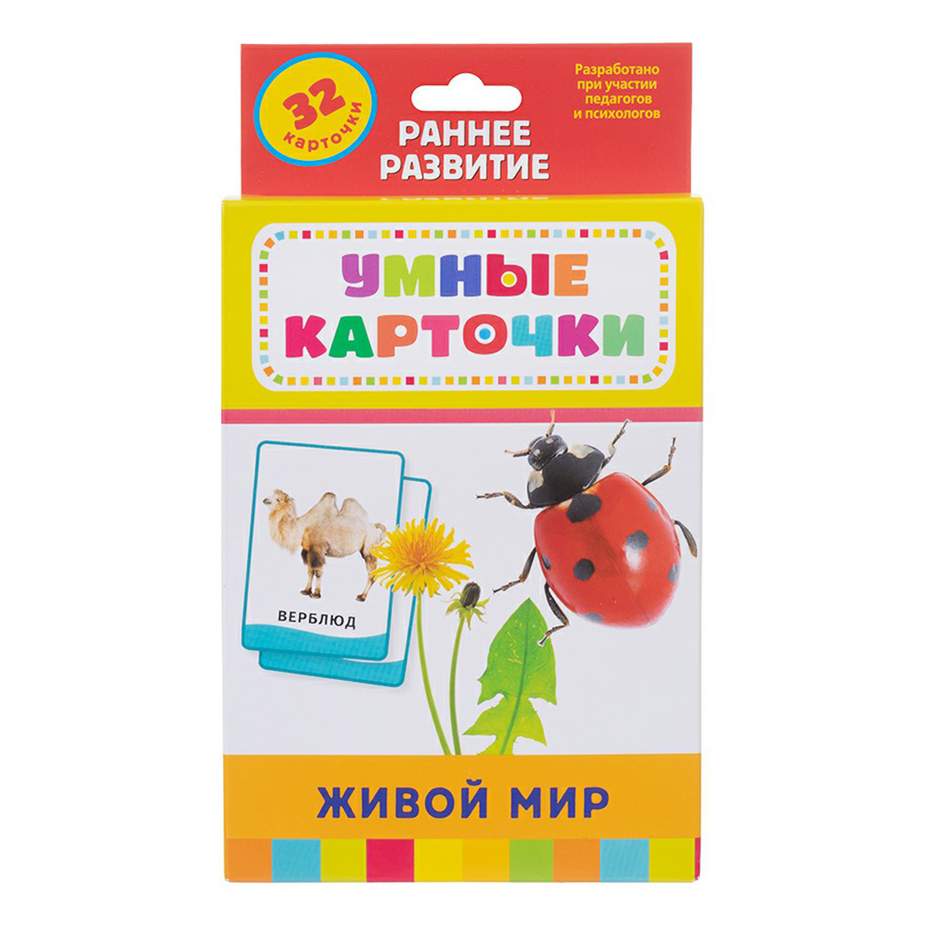 Купить настольная игра Умные карточки 32 шт в ассортименте, цены на  Мегамаркет | Артикул: 100048921356