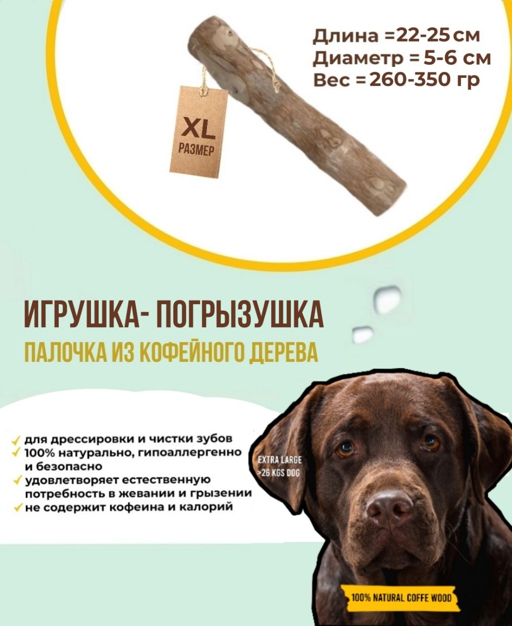 Палочка кофейного дерева для собак. Кофейная палочка для собак. погрызушка для собак. погрызушка для щенков палочка для грызения. палки из кофейного дерева вредны для собак.