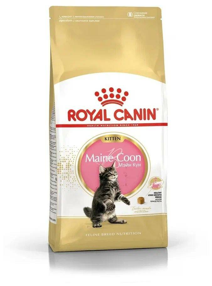 Купить сухой корм для котят ROYAL CANIN MAINE COON KITTEN 36 для мэйн кун, 2шт по 4кг, цены на Мегамаркет | Артикул: 100042789501