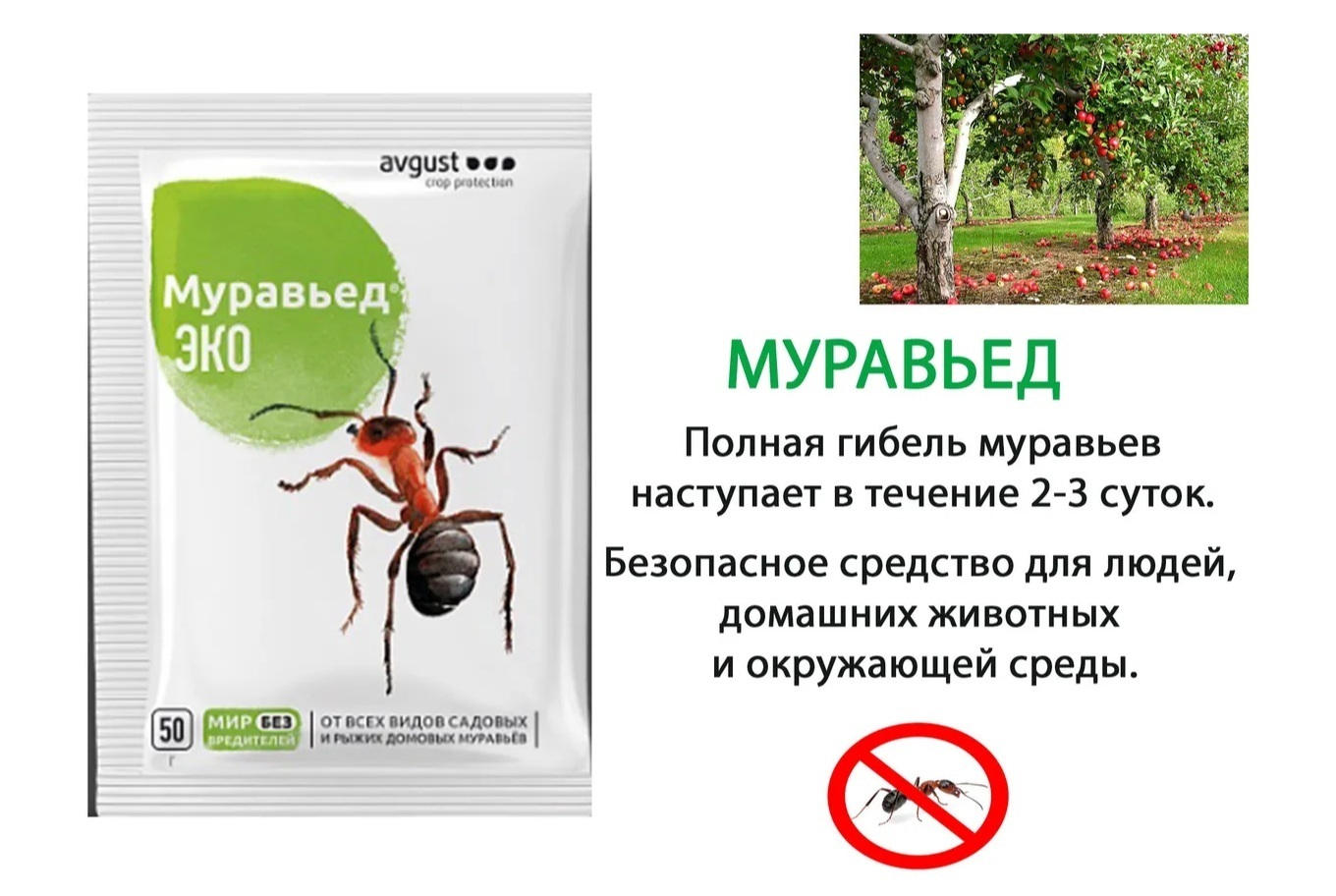 Средство защиты от вредителей Август НК385796 Муравьед Эко 50 г - отзывы  покупателей на Мегамаркет | 100026896466