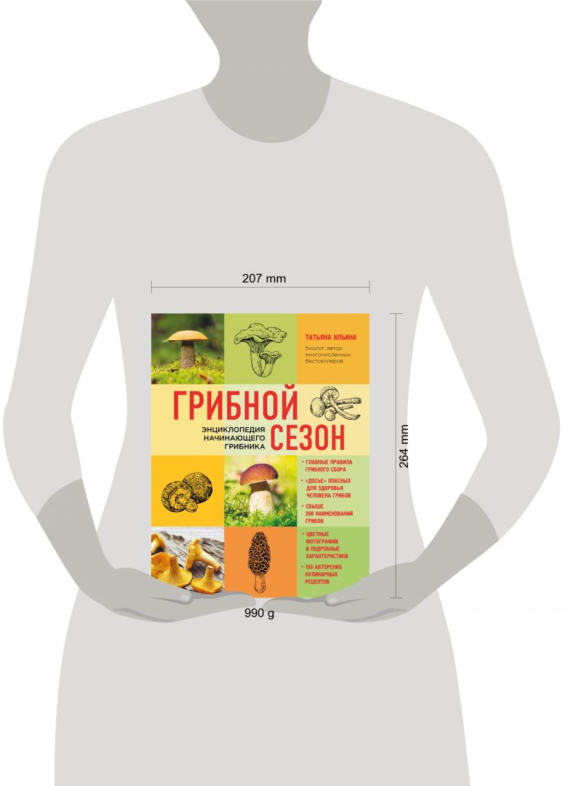 Грибной Сезон, Энциклопедия начинающего Грибника – купить в Москве, цены в  интернет-магазинах на Мегамаркет