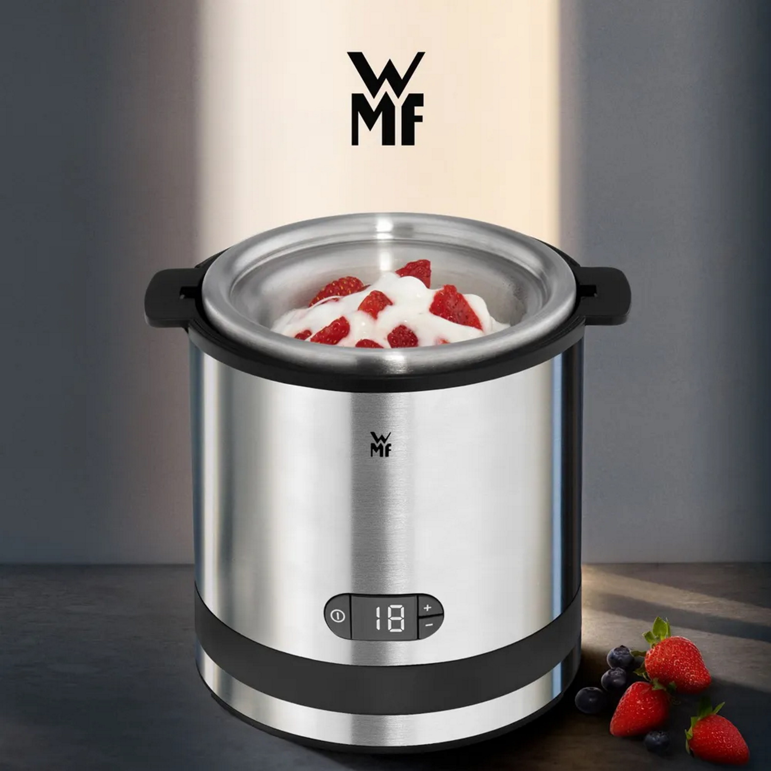 Мороженица WMF KITCHENminis (416450711) Silver, купить в Москве, цены в  интернет-магазинах на Мегамаркет