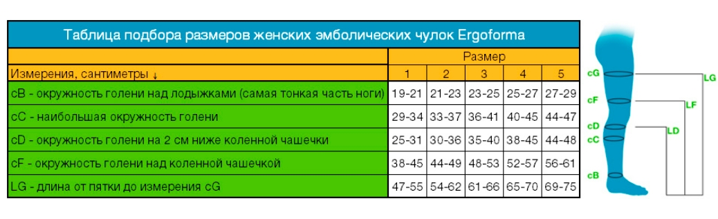 Размер 23 25. Ergoforma чулки антиэмболические 227 Размерная сетка. Эргоформа чулки eu 227. Эргоформа чулки компрессионные подобрать размер артикул 217. Эргоформа чулки компрессионные размерный ряд.