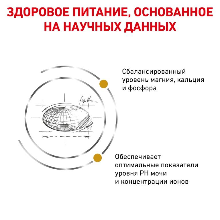 Дискуссионные вопросы бактериального вагиноза: взгляд дерматовенеролога - Журнал Доктор Ру