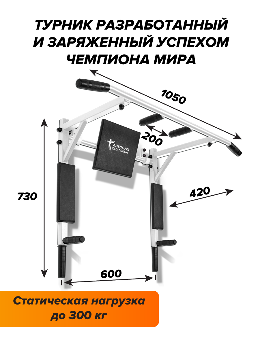 Турник настенный 3 в 1 Absolute Champion Триумф белый - купить в Москве,  цены на Мегамаркет | 600008817145