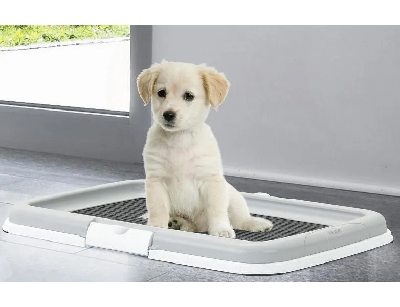 Столбик для кобелей. Stefanplast Puppy Training Set. Stefanplast Puppy Training Set Pro. Stepfanplast лоток для собак pr0600. Лоток для собак большой 60х90.