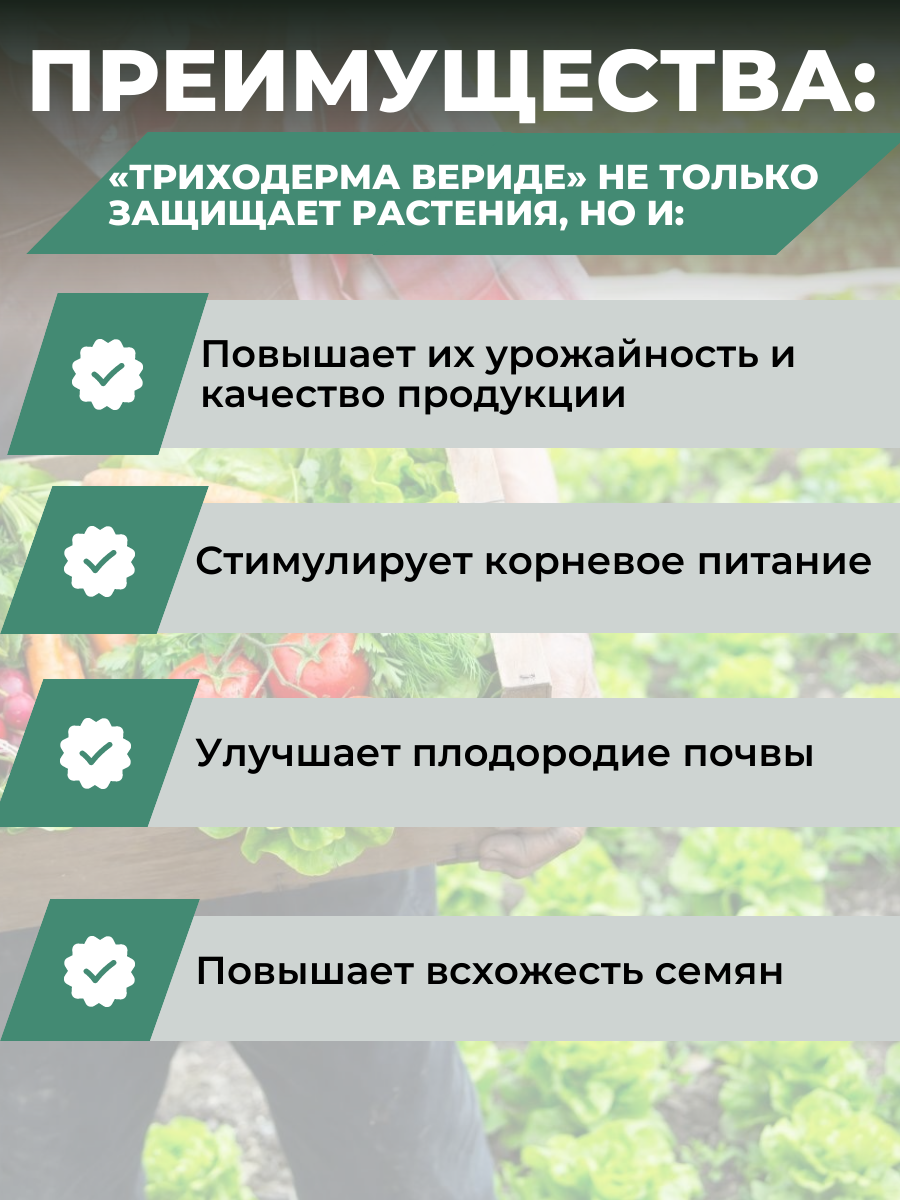 Триходерма вериде инструкция по применению. Триходерма вериде 15г инструкция по применению.