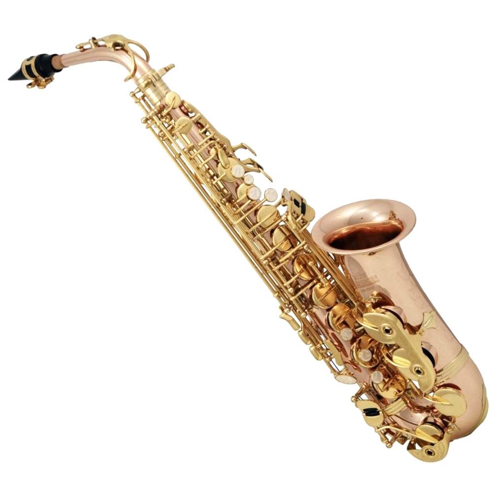 Saxophone. Саксофон Альт Roy Benson as-202 EB. Саксофон Roy Benson as-202. Саксофон Альт Roy Benson as-302 EB. Саксофон тенор Roy Benson TS-202 BB.