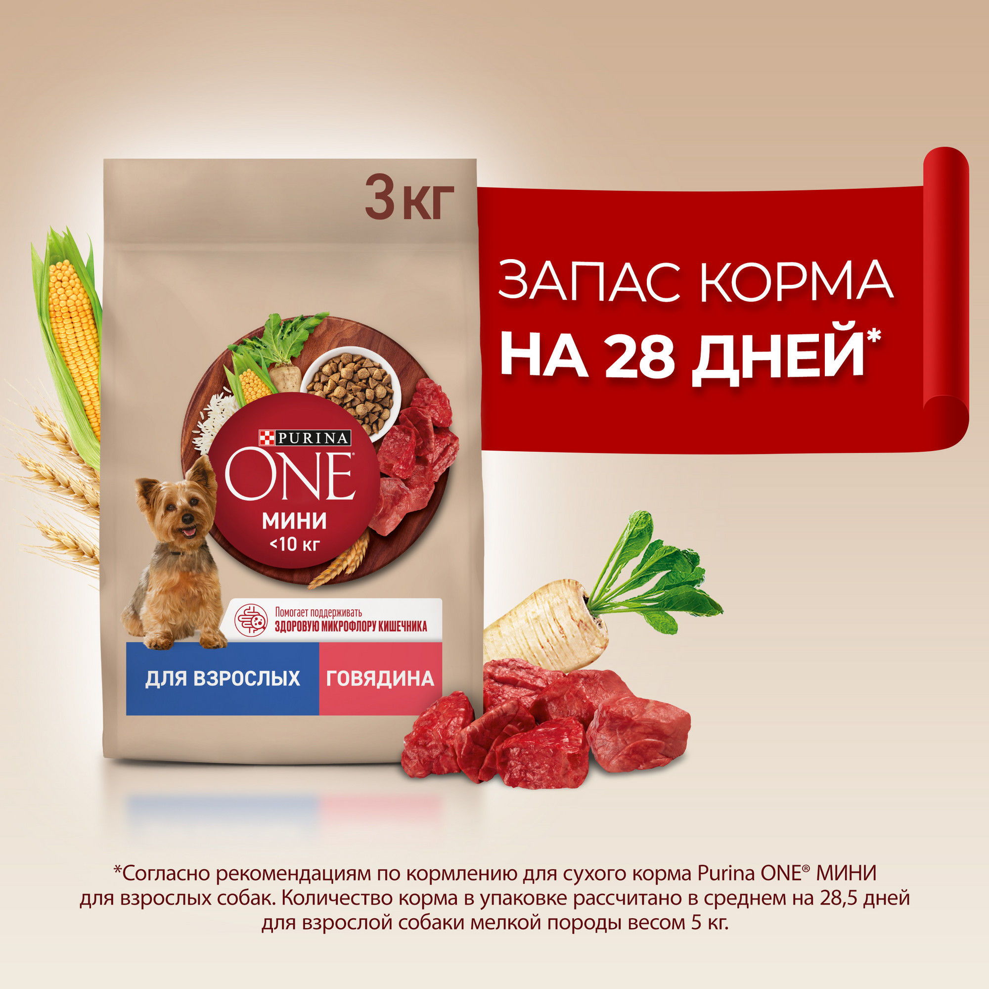 Купить сухой корм для собак Purina One Мини для взрослых мелких пород, с  говядиной и с рисом, 3кг, цены на Мегамаркет | Артикул: 600013604434