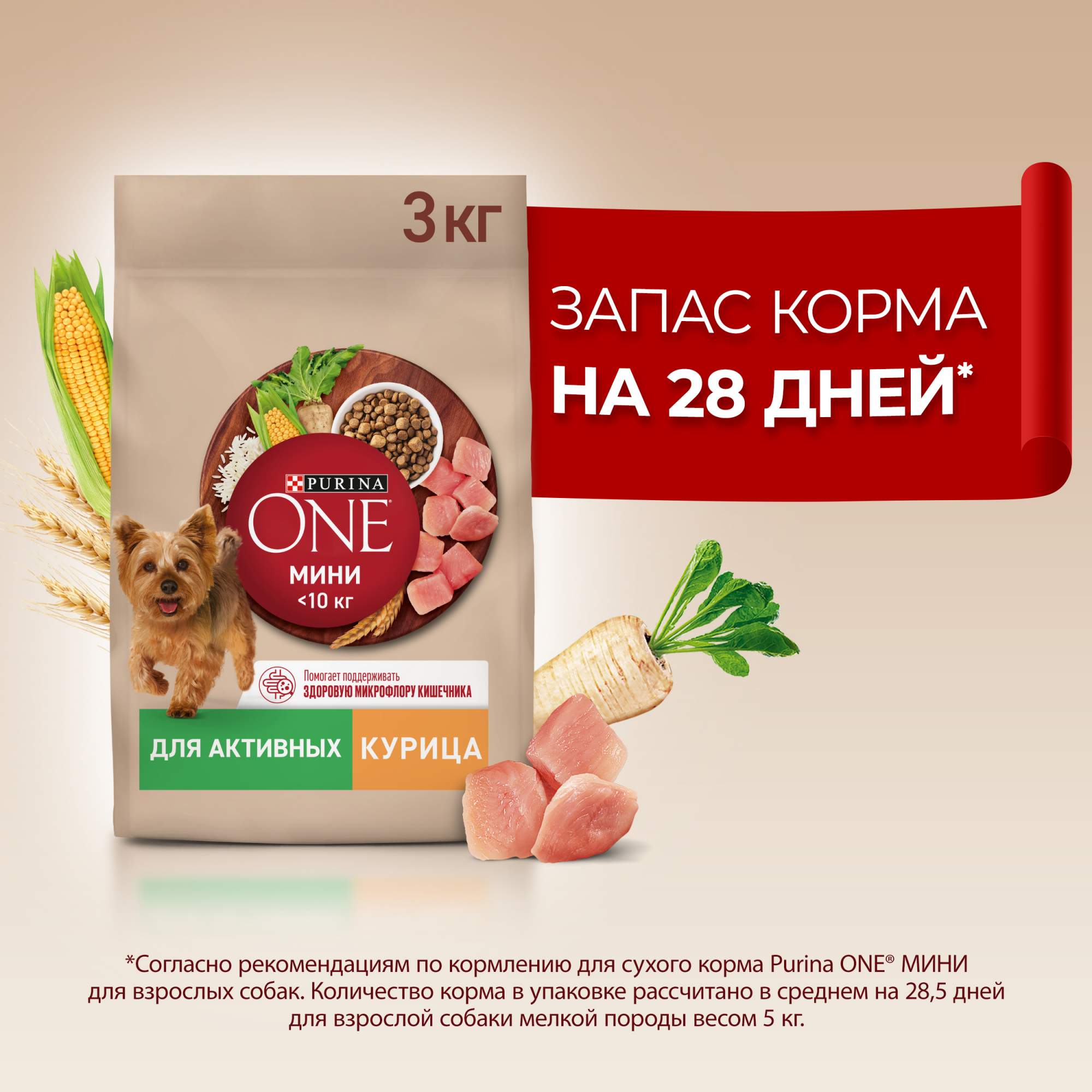 Купить сухой корм для собак Purina One Мини для активных мелких пород, с  курицей и с рисом, 3 кг, цены на Мегамаркет | Артикул: 600013604435