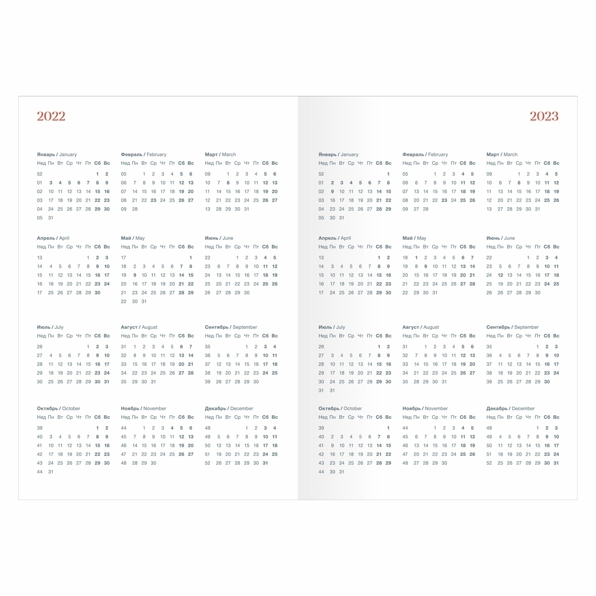 Ежедневник датированный 2022 Infolio коллекция Camomile 352 страницы