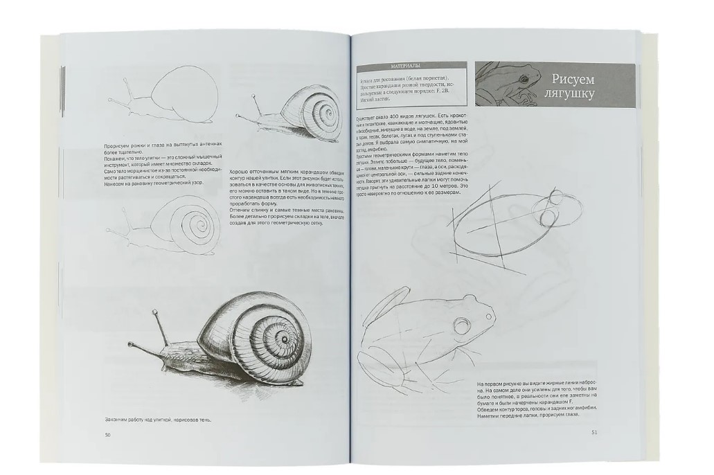 Содержание уроков рисования. Содержание уроков рисования. Содержание уроков рисования. Последовательность построения натюрморта. Как научитьс яя рисовать.