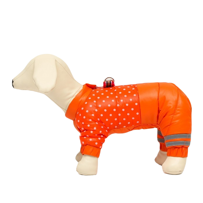 собака в горошек. горох собаке. собачка гогорошек. собака в горошек. платье сарафан для собак.