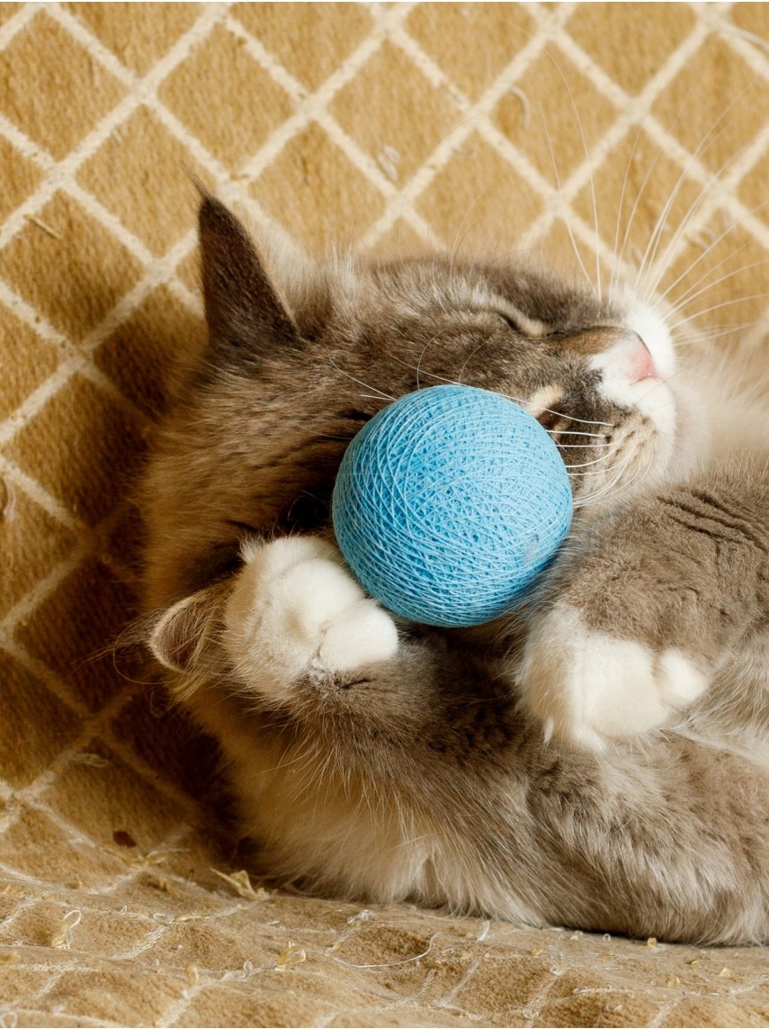 Игрушка для кошек Japan Premium Pet Клубок из ниток со смещенным центром тяжести, 2 шт