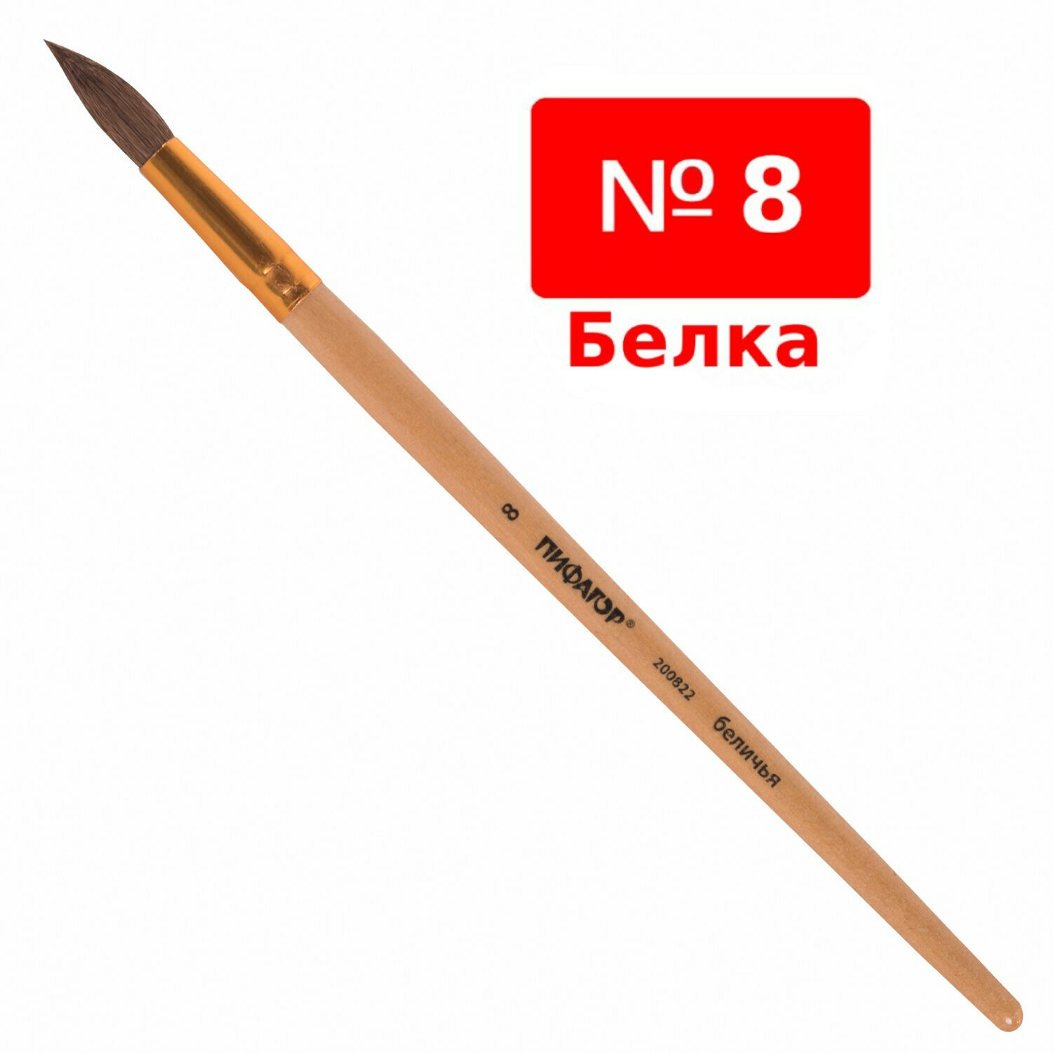 Кисть белка №5 miraculous круглая мс-3278. Roubloff белка имитация. Кисть белка 5. Кисть белка круглая №10. Брауберг арт кисть беличья.