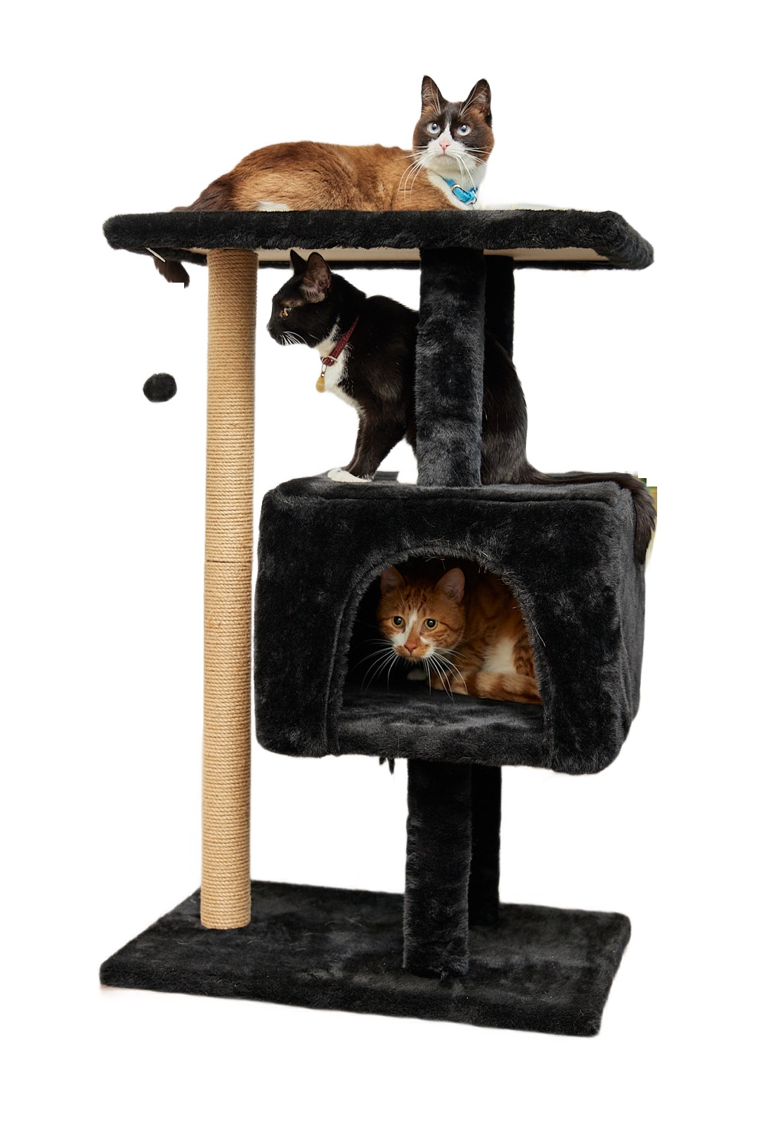 Когтеточка для кошек Бриси Макси с домиком и лежанкой, черный, 61 х 41 х 95  см - купить в ИП Салахетдинов Л.Р., цена на Мегамаркет