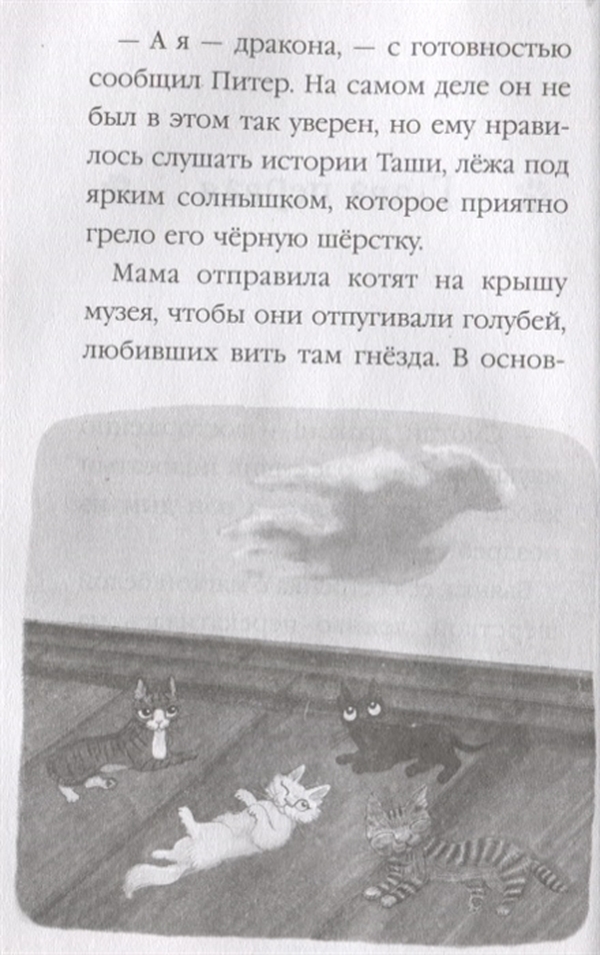 Дневник Кота Плинтуса Купить Книгу