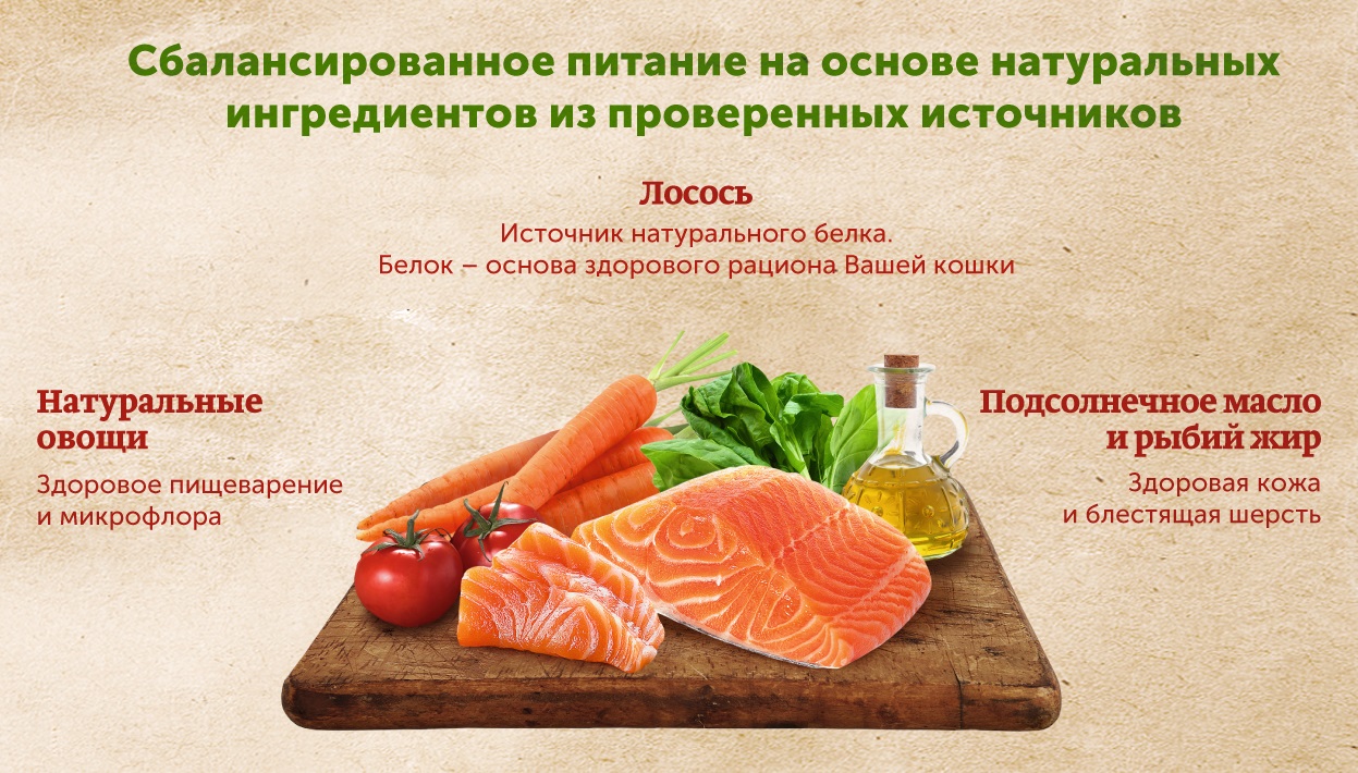 Влажный корм для кошек Nature’s Table Лосось в соусе, 24 шт по 85г