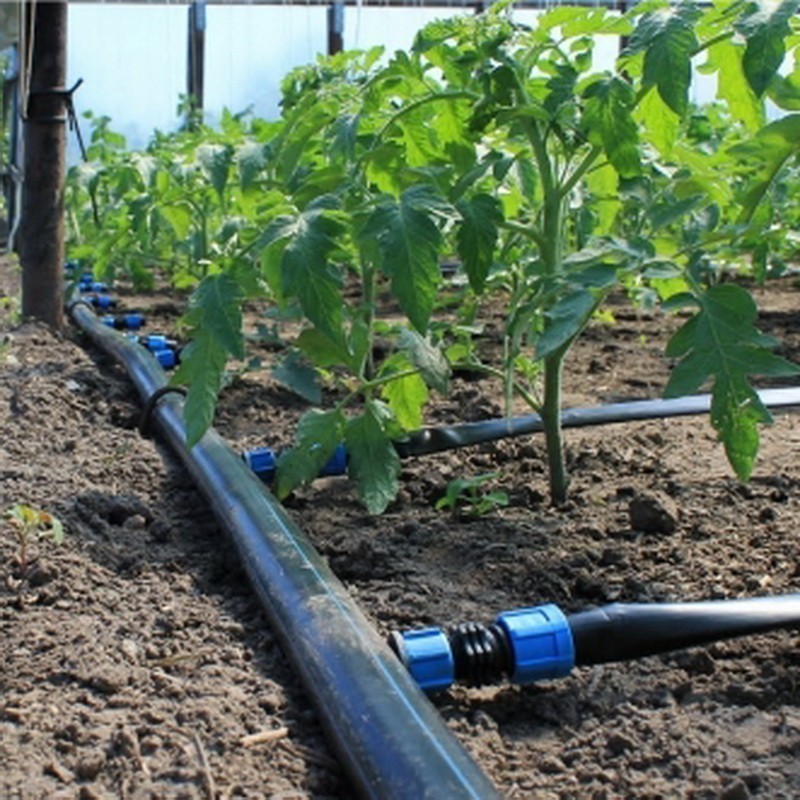 Капельный полив от водопровода "жук" 60растений 7818-00. Комплект капельного полива жук 60 растений тепличный от емкости. Система капельного полива жук. Капельное орошение малины. Капельный полив жук с таймером.