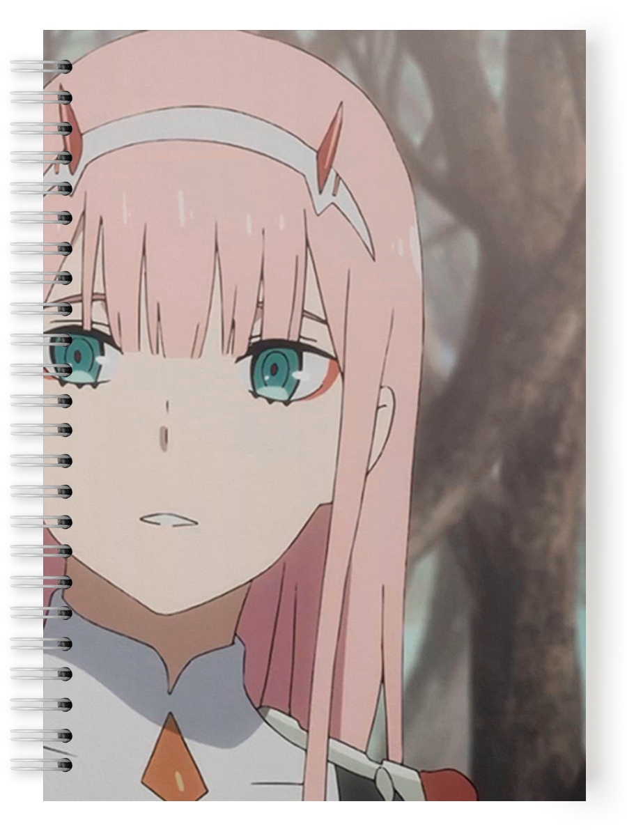 Тетрадь студенческая, Darling in the FRANXX 1 сезон 1 серия 92958042 –  купить в Москве, цены в интернет-магазинах на Мегамаркет