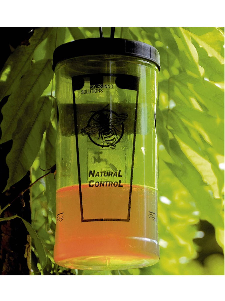 Natural and control. Natural and control