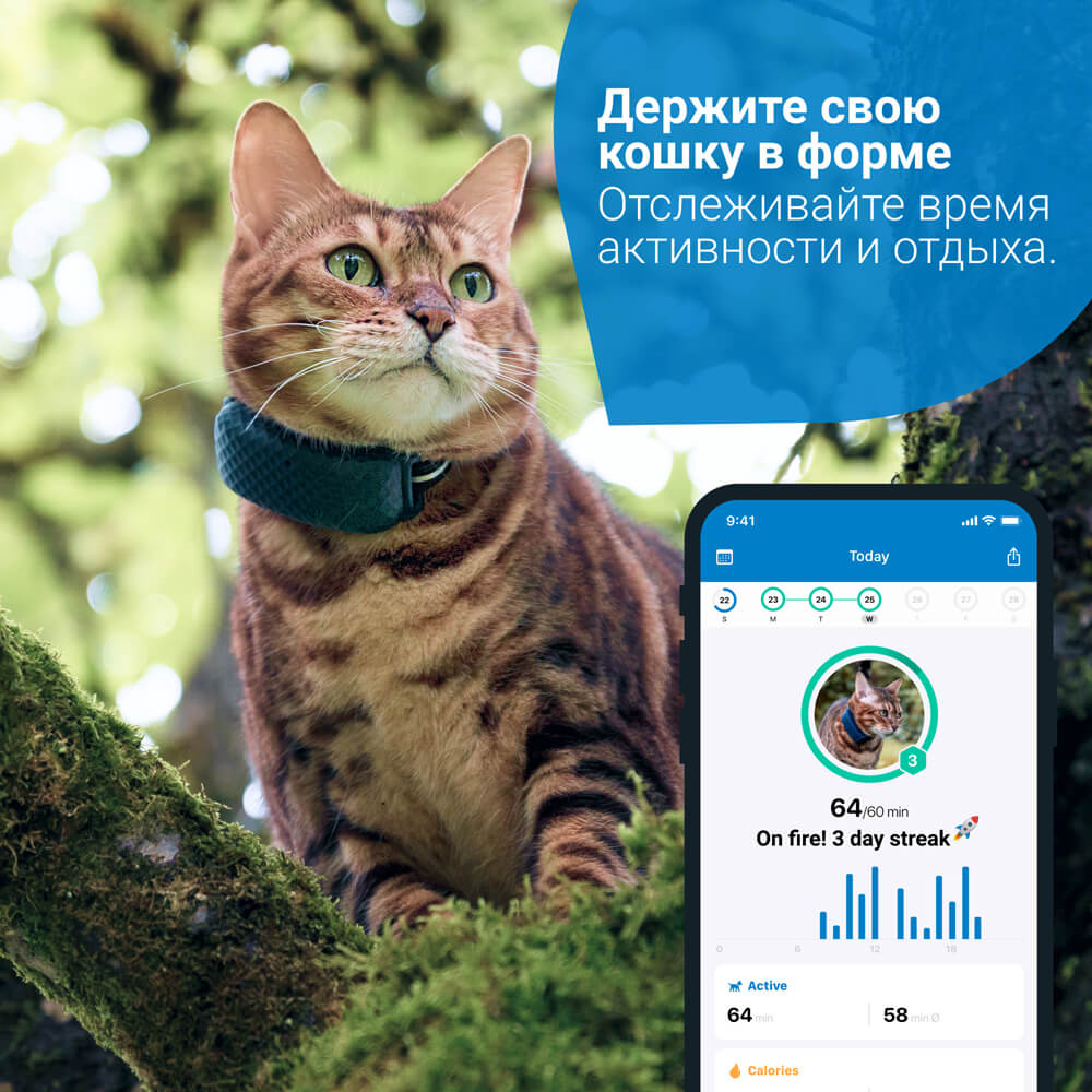 Tractive. Трекер для кошек с мониторингом активности GPS CAT 4 LTE (темно-синий)