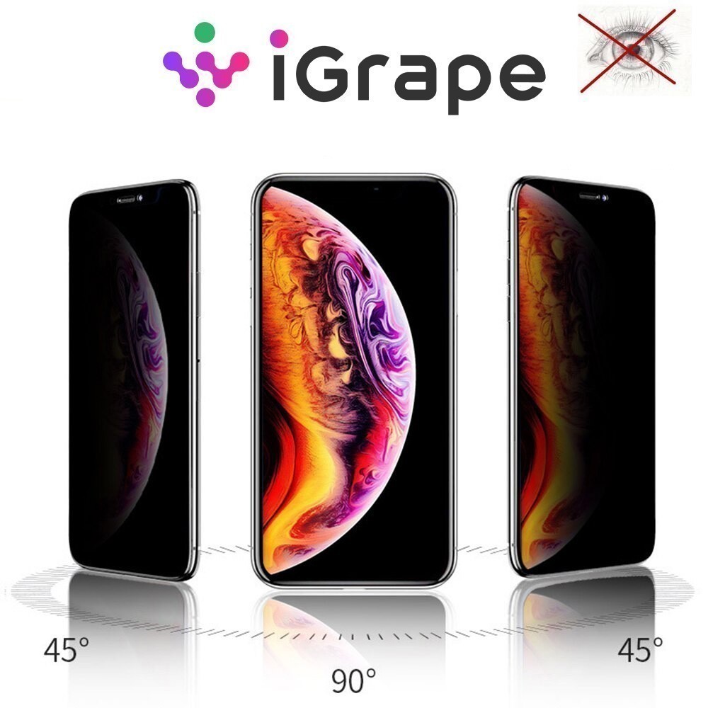 Защитное стекло Анти-шпион для iPhone 12 Mini, iGrape, купить в Москве,  цены в интернет-магазинах на Мегамаркет