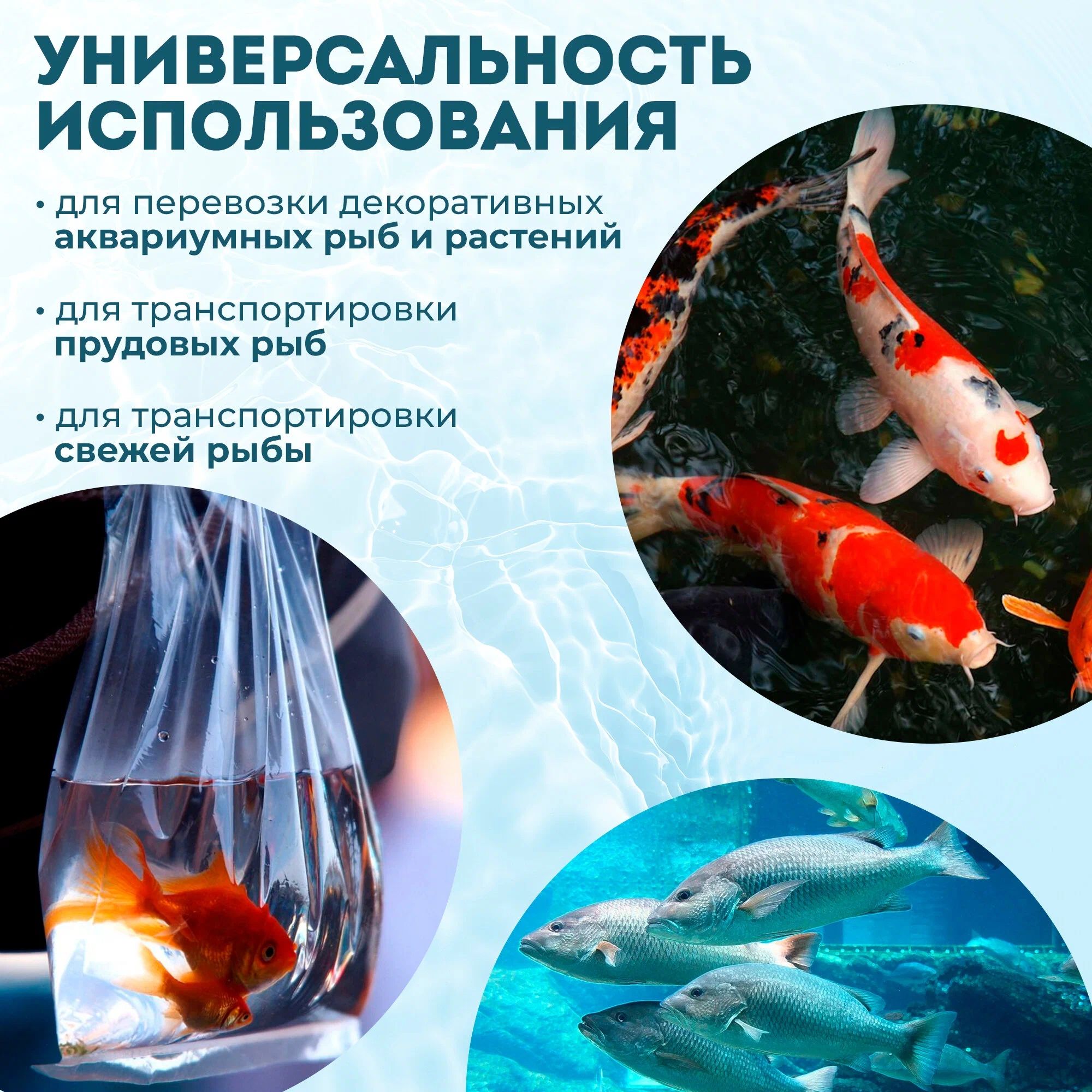 Переноска для рыб. Контейнер для перевозки аквариумных рыбок. Золотая рыбка в аквариуме. Перевозка аквариумных рыбок. Грелка для перевозки аквариумных рыб.