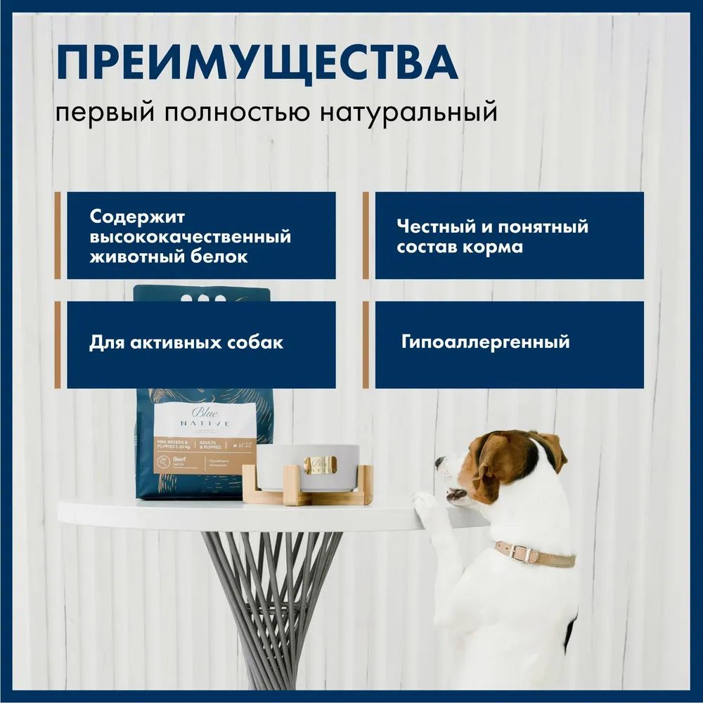 Blue native корм для собак ассортимент. Blue native корм для собак 6. Neo Breeder Holistic Lamb & Venison.