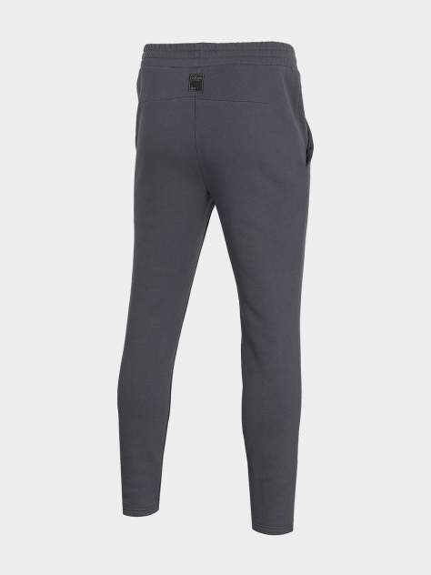 Спортивные брюки Outhorn,  серый