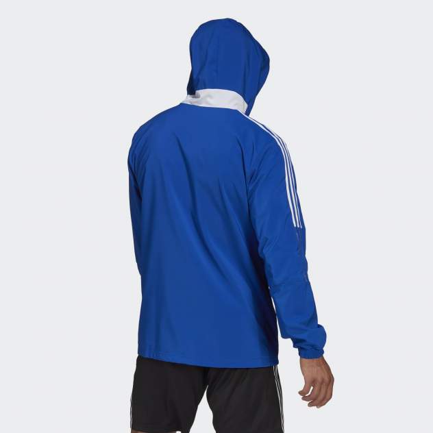 Спортивная ветровка Adidas,  синий
