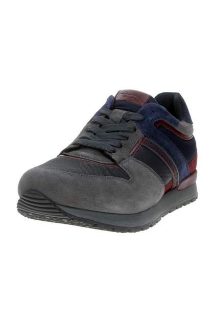Harmont & clearance blaine scarpe