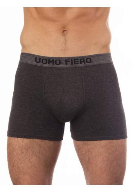 Мужские трусы UOMO FIERO 027FH, серый