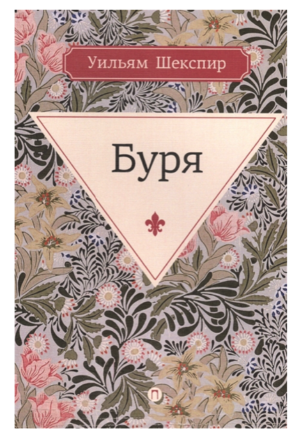 

Книга Буря