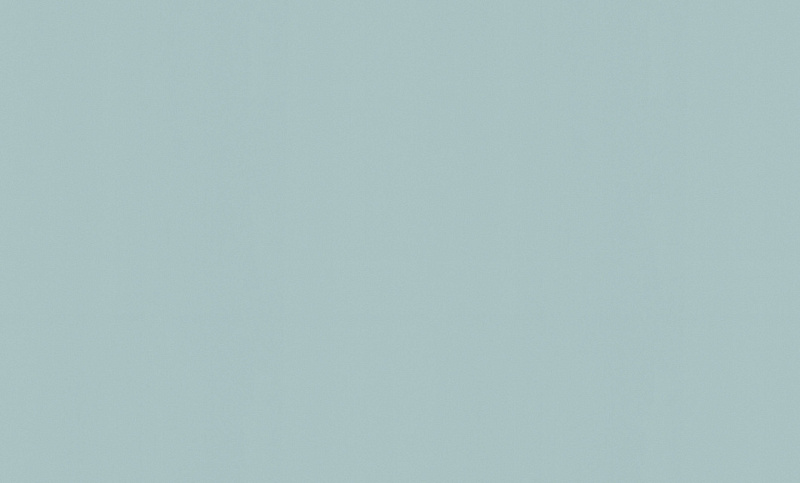 

Обои TC71569-76 Trend Color Fine Line 1,06 м x 10,05 м винил на флизелине